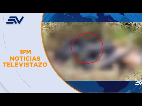 Tres cuerpos calcinados fueron hallados en cantón Arosemena, Napo | Televistazo | Ecuavisa