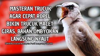 Download lagu Trucukan GACOR ngalas ROPEL PANJANG suara alam AMPUH buat pancingan jadikan trucuk Gacor GARUDA mp3