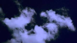 Naturaleza muerta elizabeth ganem