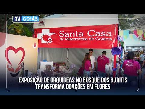 EXPOSIÇÃO DE ORQUÍDEAS NO BOSQUE DOS BURITIS TRANSFORMA DOAÇÕES EM FLORES