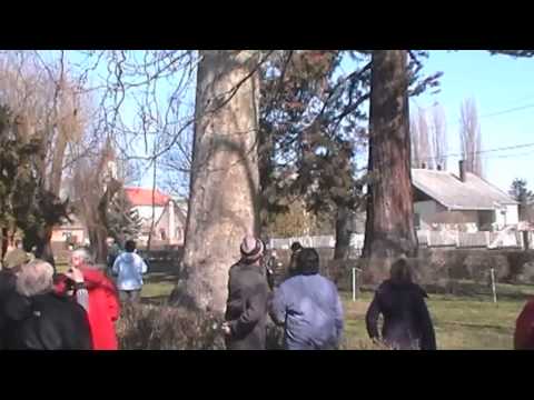 Nőnapi túra Balatonederics