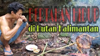 Download lagu Makanan lezat di hutan belantara || Petualangan suku dayak kalimantan mp3