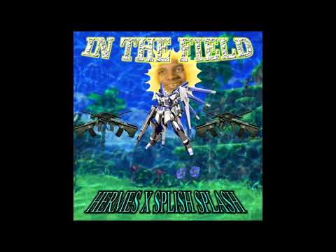 Hxrmx$ ft. Splish Splash - In The Field (Prod. BIG LOS)