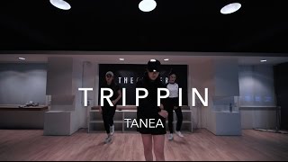 Trippin - TANEA | Minky Jung Choreography