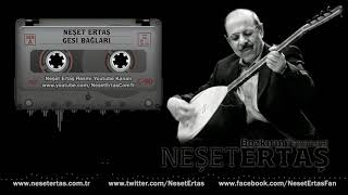 Neşet Ertaş - Gesi Bağları