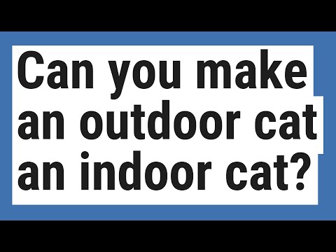Can you make an outdoor cat an indoor cat?