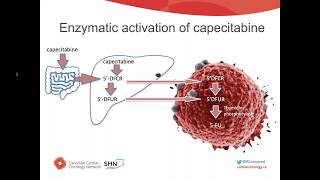 June 2020: Capecitabine-induced Hypertriglyceridemia: Case Report and Topic Review.