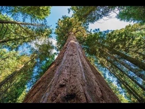 Beautiful Washington  Scenic Nature Documentary Film about Washington State   Episode 4 in 4K