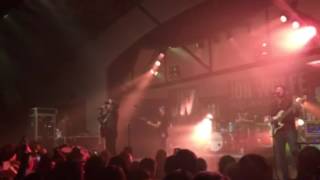 Baby This Baby That Jon Wolfe