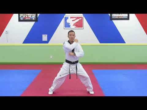 Han Bros Taekwondo White Belt Hand Techniques 1-10 Master Han