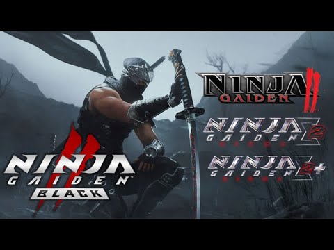 What IS Ninja Gaiden II Black?