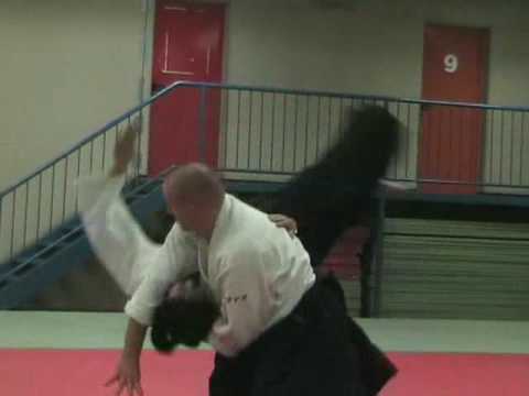 Stéphane GOFFIN: Aikido Stage à VIENNE Sep 2009