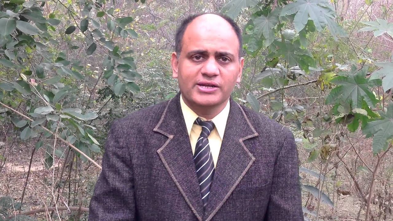 Pine bark (Saral ghan)- Health Benefits, Uses, Dosage & Side Effects - YouTube