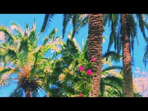 Wanna Kiss のサムネイル