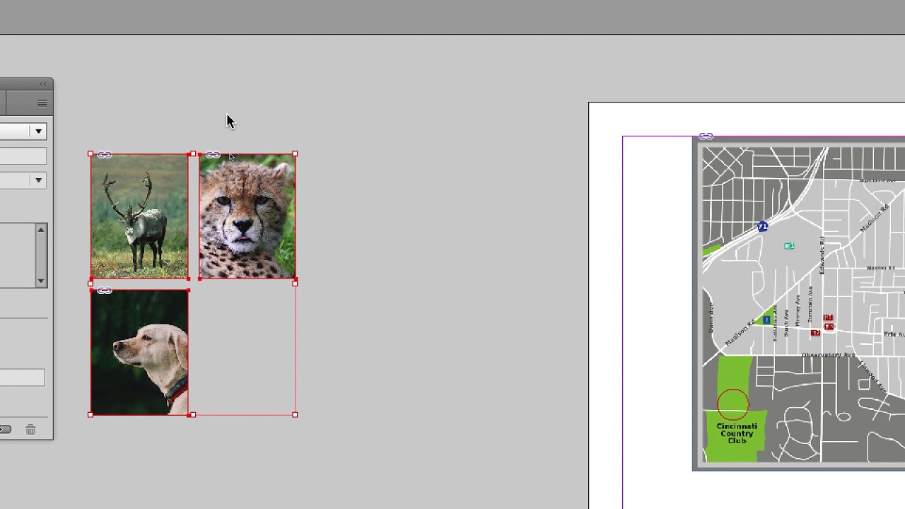 The Dog Breeds interactive PDF document part 32 Learning Adobe InDesign by example - PAGE LAYOUT