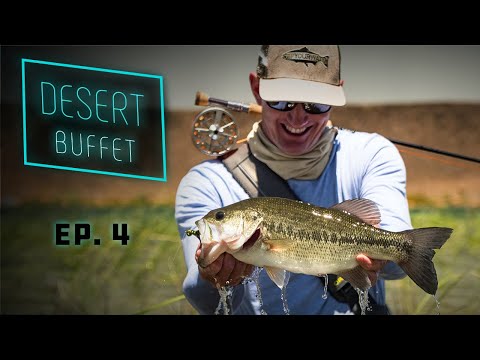 Desert Buffet - Bass Fly Fishing &amp; UNDERWATER Bluegill Action!!!