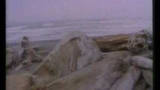 The Art of Landscape  broadcast on Ch 4 in the 1990's