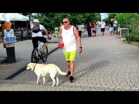 Bummel in Balatonlelle am 25.07.2023