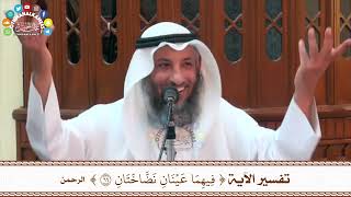 91 - تفسير الآية ( فيهما عينان نضاختان ) - عثمان الخميس