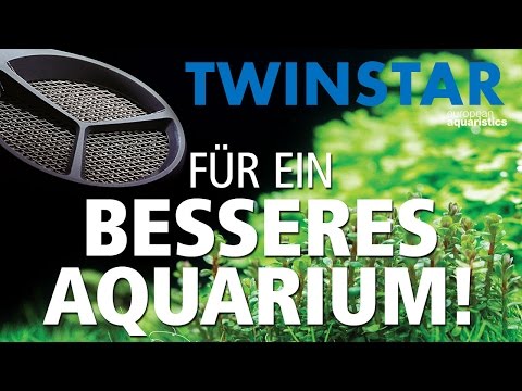 TWINSTAR! für ein besseres algenfreies Aquarium!