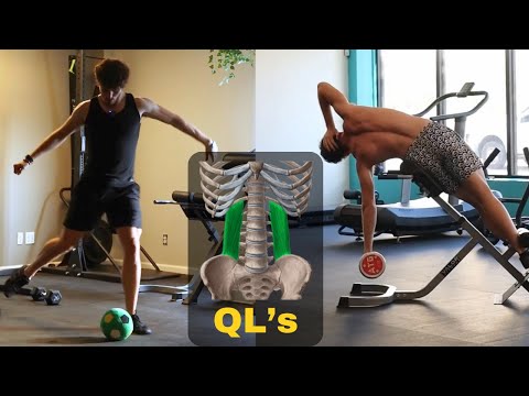 Watch This Before Training Your QL (Back Muscle)