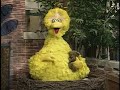 العب بالسمسم Play With Me Sesame Big Bird Takes A Nap Arabic