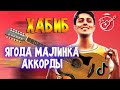 Хабиб - Ягода малинка (аккорды)