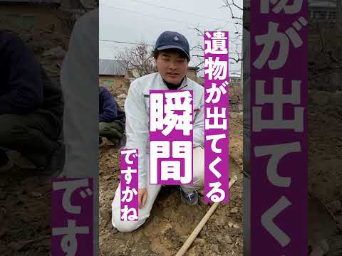言語文化学科 奈良大学　文学部文化財学科　インタビュー　考古学の楽しさを教えてください　#shorts #歴史 #奈良