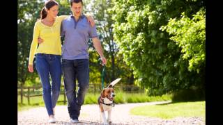 4700 Colonnade- Brand New Apartments in Birmingham, Alabama (AL)