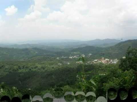 Daniele Benati-Sunday