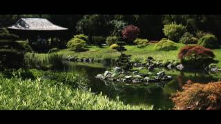 LA BAMBOUSERAIE D'ANDUZE