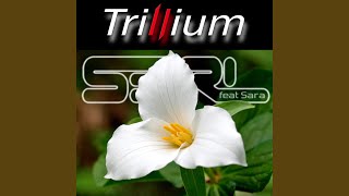 Download lagu Trillium (feat. Sara) - Nightcore mp3