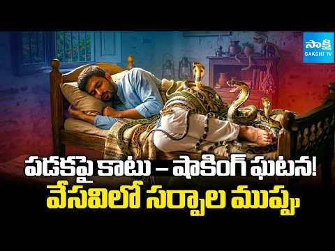 Snakes Entering Homes in Summer? Shocking Kerala Incident Sparks Fear!@SakshiTVDigital