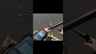 Le XP Deus 2 avec son disque HF2 performant aussi sur la pêche à la sardine ! #sardinia #sardine