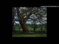 One Hundred Leaves by The Clientele
