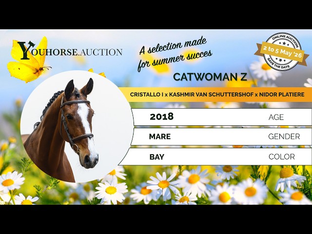 Catwoman Z showvideo indoor