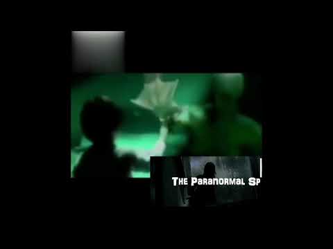 Strange sea creature - Triton