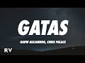 Rauw Alejandro GATAS Letra Lyrics Ft Chris Palace