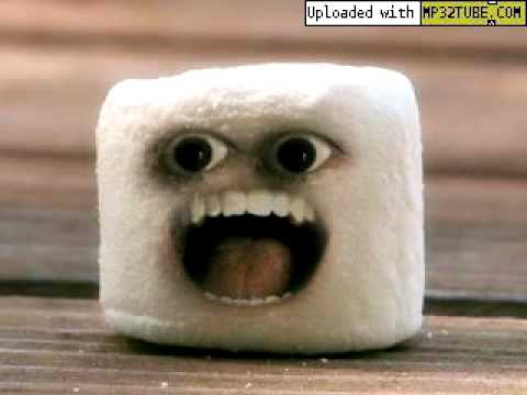 Gufo [Losco Affare] + PPT - Yes Yes Y\'All