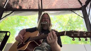 Moon Song (Arlo Guthrie cover)