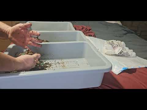 Resetting the Enc breeder bin feb23 24