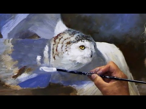 Painting the Snowy Owl Part 2  Animal Portrait Techniques