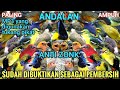 Suara Pikat Semua Burung Kecil Sehutan Ludes Kalau Begini Mp3 Nya