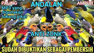 Download lagu Suara Pikat Semua Burung Kecil Sehutan Ludes Kalau Begini mp3 nya mp3