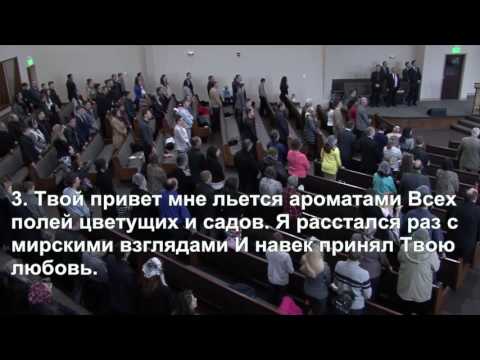 Sunday 02.26.17 Morning