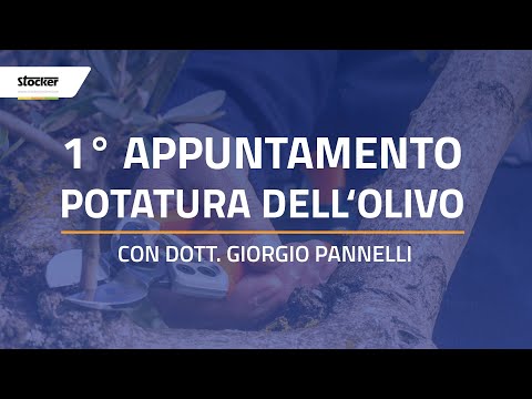 CORSO POTATURA FREE - OLIVO - LIVE 1