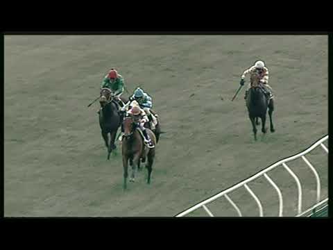 Galoppo 16/11/2020 - 1ª corsa