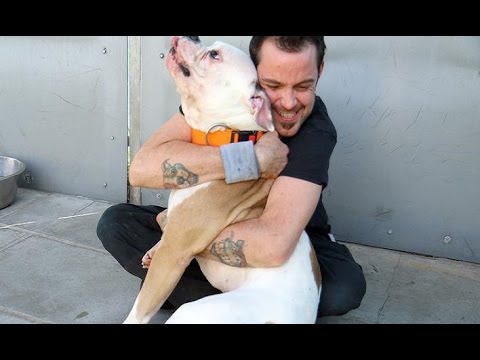 (Doku) Die Tier-Retter - Notaufnahme im Stuttgarter Tierheim (HD)