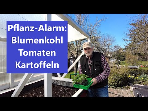 , title : 'Pflanz-Alarm für Blumenkohl, Tomaten, Kartoffeln   Film 119'