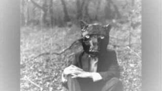 Midlake- Golden Hour